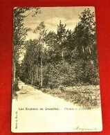 LINKEBEEK  -  Chemin à Linkebeek   -  1903   - - Linkebeek