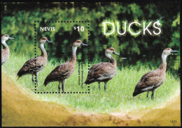 2014 Nevis West Indian Whistling Duck Souvenir Sheet (** / MNH / UMM) - Eenden