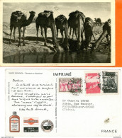 Maroc Espagnol,FDC 1er Jour; 1953, Carte Maximum ; Plasmarine" Chameaux Se Désaltérant "Morocco,Marruecos - Morocco (1956-...)