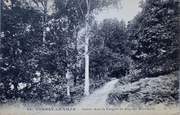 CPA (Yvelines). CERNAY La VILLE, Sentier Dans La Fougère Du Bois Des Maréchaux (n°23) - Cernay-la-Ville