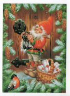 MODERN Christmas Postcard - LARS CARLSSON - SWEDEN - GNOME / ZWERG / LUTIN - Used  2009 / NO STAMP - Autres & Non Classés