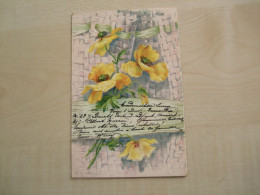 Carte Postale Ancienne 1907 FLEURS - Fleurs