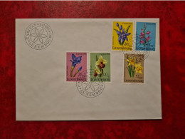 LETTRE CARTE LUXEMBOURG 1976 SERIE CARITAS FLEURS - Andere & Zonder Classificatie