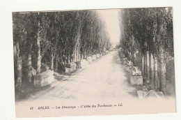 13 . Arles . Les Alyscamps . Allée Des Tombeaux - Arles