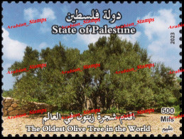 2023 PALESTINE THE OLDEST OLIVE TREE IN THE WORLD FLORA TREES MS SHEET - Palästina