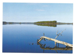 Summer In The Province Of Central Ostrobothnia - FINLAND - - Finlande