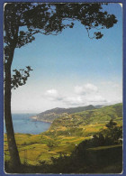 Açores - S. Miguel. Vila De Povoação, Costa Sul - Açores