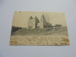 MONT GODINNE Château De Ronchinne  Vallée De La Meuse Prov Namur PK CPA Carte Postale Post Kaart - Yvoir