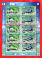 Artsakh/Karabakh/Armenien/Armenie/Armenia 2024, EUROPA CEPT, Underwater Flora Fauna, Catfish Algae, MS - MNH - Armenien