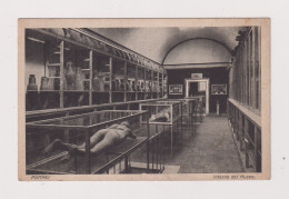 ITALY - Pompei Museum Interior Unused Vintage Postcard - Pompei