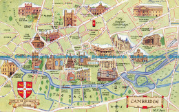 R154627 Cambridge. Arms Of The University Of Cambridge. Salmon - World