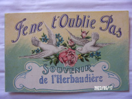 L'HERBAUDIERE SOUVENIR DE ... (Vendée)  JE NE T'OUBLIE PAS  N°16 - Ile De Noirmoutier