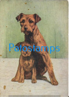 229843 ART ARTE EMBOSSED TWO DOG THE BORDER TERRIER SPOTTED POSTAL POSTCARD - Unclassified