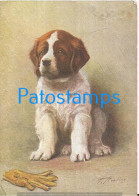 229844 ART ARTE SIGNED DOG THE ST BERNARD POSTAL POSTCARD - Autres & Non Classés