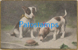 229845 ART ARTE SIGNED THE TWO DOG AND TURTLE POSTAL POSTCARD - Autres & Non Classés