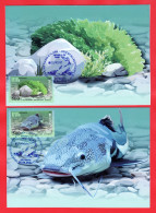 Artsakh/Karabakh/Armenien/Armenie/Armenia 2024, EUROPA CEPT, Underwater Flora Fauna, Catfish Algae - 2pc Card Maximum - Armenia