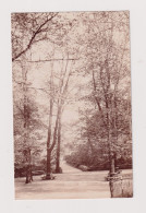 ENGLAND - Burnley Scott Park Unused Vintage Postcard - Other & Unclassified