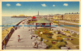 R160336 Rockery Promenade S. S. Blackpool. County. 1951 - Monde