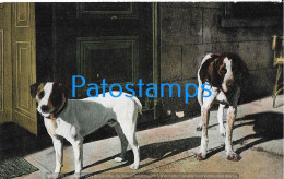 229847 ART ARTE THE COUPLE DOG POSTAL POSTCARD - Non Classés