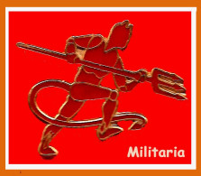 SUPER PIN'S "MILITARIA" LES DIABLES ROUGES De MULHOUSE En émail Grand Feu Base Or, Format 3,3X2,5cm - Militaria