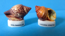 Fèves Brillantes -  Coquillages X 2 -  1999 -  Colobelle Et Lacuna Vincta - Animaux