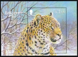 2009 Guernsey Endangered Species: Amur Leopard Souvenir Sheet (** / MNH / UMM) - Raubkatzen