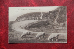 50 - GRANVILLE : Les Moutons Sur Le Roc - Granville