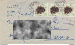 Angola 1970, Fossil, Paleontology, Plant Fossil, ,Gondwanidium Validum,  Paleobotanic,  Fine Used Cover - Vor- U. Frühgeschichte