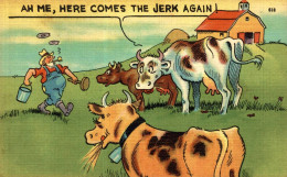 K0106 - VACHES - AH ME HERE COMES THE JERK AGAIN ! - Vaches