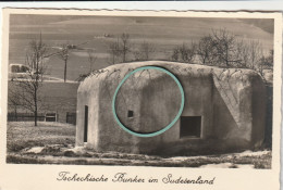 MIL3301  --  POSTCARD  --  TSCHECHISCHE BUNKER IM SUDETENLAND  BEI TETSCHEN  --  ORIGINAL PHOTOGRAPHIE - 1939-45
