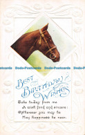 R161216 Greetings. Best Birthday Wishes. Horse. M. B - Monde