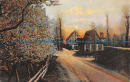 R160364 Old Postcard. Road And Houses. 1906 - Monde