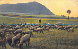R160368 Old Postcard. Cattle Near The Mountains. Photochromie - Monde