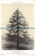 R161238 British Trees. Larch. Waterlow - Monde