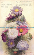 R161359 Greetings. A Birthday Wish. Flowers. Tuck. Oilette. 1924 - Monde