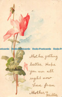 R161364 Old Postcard. Pink Flower. 1904 - Monde