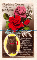 R161439 Birthday Greetings To My Dear Sister. Kitten. Roses. Art. RP - Monde