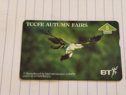 United Kingdom-(BTG-733)-TCCFE-Autumm Fairs1996-Osprey-(719)-(605F22008)(tirage-1.000)-cataloge-6.00£-mint - BT Edición General