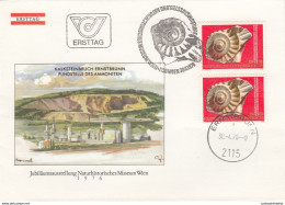 Austria 1976:  Ammonit, Fossil, Prehistoric Animals  Prehistory, Paleontology, Postmark, Used Cover - Prehistorics