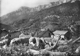 26 Drome Un Troupeau De Moutons Au Village D'Archiane Au Pied Du Glandaz Cpsm Grand Format Dentelé - Autres & Non Classés