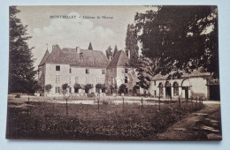 Carte Postale MONTBELLET : Château De Mercey - Sonstige & Ohne Zuordnung