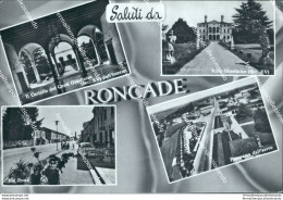 Cf419 Cartolina Saluti Da Roncade Provincia Di Treviso Veneto - Treviso