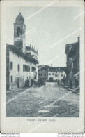 Ai673 Cartolina Terzo Via Della Chiesa Provincia Di Udine - Udine