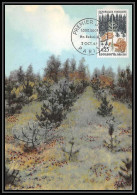 1919/ Carte Maximum (card) France N°1460 Millionième Hectare Reboisé Fdc Premier Jour Edition Parison 1965 - Bäume