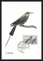 1574/ Carte Maximum (card) France N°1276 Oiseaux (birds) Guêpiers Edition Fdc Premier Jour 1960 - 1960-1969