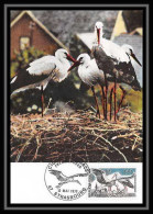 2827/ Carte Maximum (card) France N°1755 Cigogne Stork. D'Alsace Oiseaux (birds) Edition Parison Fdc 1973 Premier Jour - Cicogne & Ciconiformi