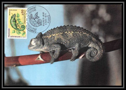 2612/ Carte Maximum (card) France N°1392 Protection De La Nature. Caméléon Reunion Chameleon Edition Fdc 1971 - Autres & Non Classés