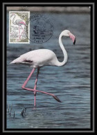2447/ Carte Maximum (card) France N°1634 Flamant Rose Oiseaux (birds) Edition Parison 1970 Fdc Premier Jour - Cigognes & échassiers