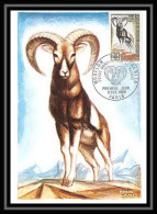 2390/ Carte Maximum (card) France N°1613 Mouflon Méditéranéen Edition Cef 1969 Animaux Animals - 1960-1969
