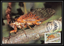3356/ Carte Maximum (card) France N°1946 La Cigale Rouge Insectes (insects) Fdc 1977 Edition Empire - Autres & Non Classés